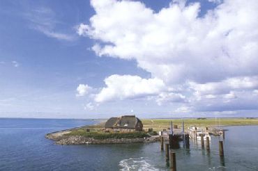Hallig